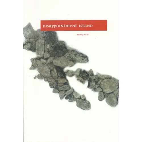 Disappointment Island - Paperback
