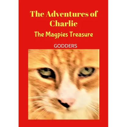 The Adventures of Charlie: Mr Magpie - Paperback