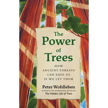 The Power of Trees: How Ancient Forests Can Save Us If We Let Them - Hardcover