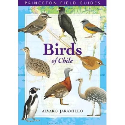 Birds of Chile - Paperback