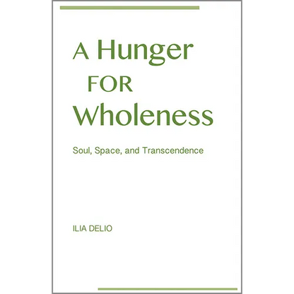 A Hunger for Wholeness: Soul, Space, and Transcendence - Paperback