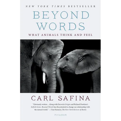 Beyond Words: What Animals Think and Feel - Paperback