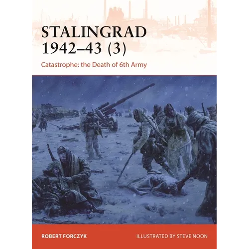 Stalingrad 1942-43 (3): Catastrophe: The Death of 6th Army - Paperback