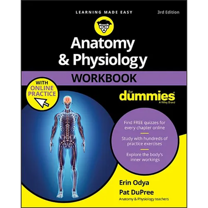Anatomy & Physiology Workbook for Dummies with Online Practice - Paperback