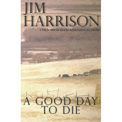A Good Day to Die - Paperback