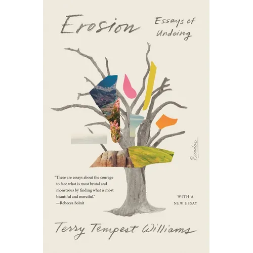 Erosion: Essays of Undoing - Paperback