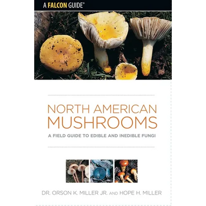 North American Mushrooms - Paperback
