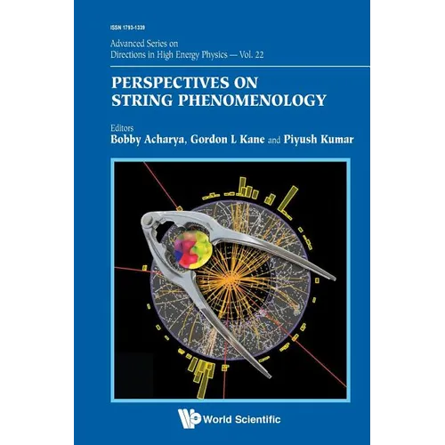 Perspectives on String Phenomenology - Paperback