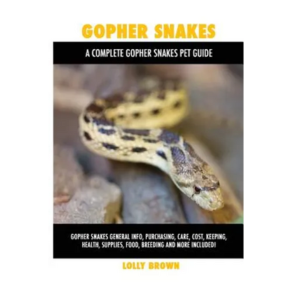 Gopher Snakes: Gopher Snakes General Info, Purchasing, Care, Cost, Keeping, Health, Supplies, Food, Breeding and More Included! A Com - Paperback