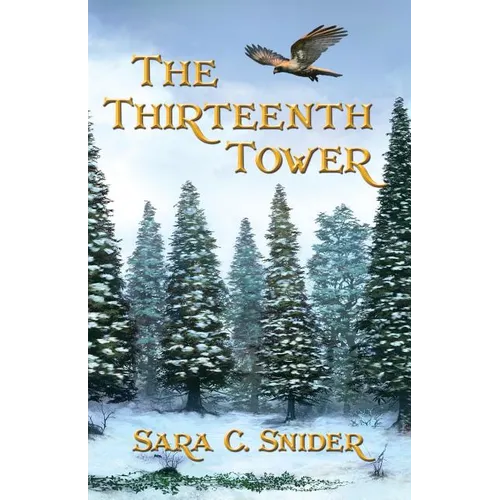 The Thirteenth Tower - Paperback