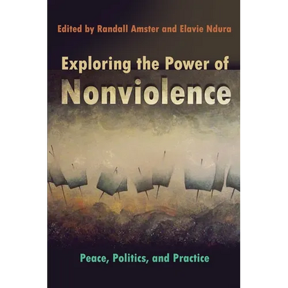 Exploring the Power of Nonviolence: Peace, Politics, and Practice - Paperback
