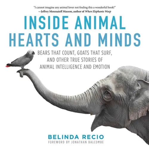 Inside Animal Hearts and Minds: Bears That Count, Goats That Surf, and Other True Stories of Animal Intelligence and Emotion - Hardcover