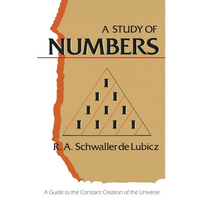 A Study of Numbers: A Guide to the Constant Creation of the Universe - Paperback