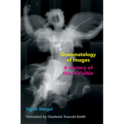 Grammatology of Images: A History of the A-Visible - Paperback