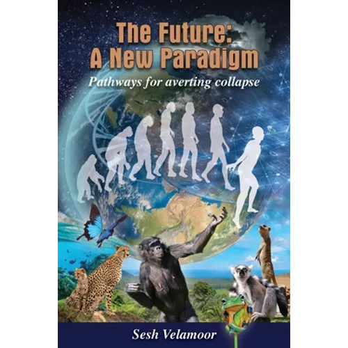 The Future: A New Paradigm - Pathways for Averting Collapse - Paperback