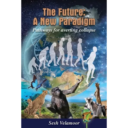 The Future: A New Paradigm - Pathways for Averting Collapse - Paperback