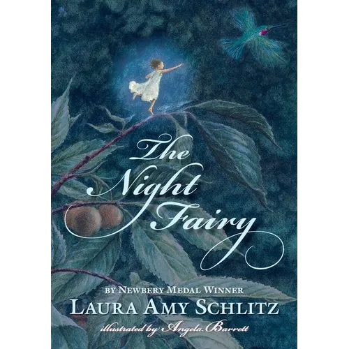 The Night Fairy - Paperback