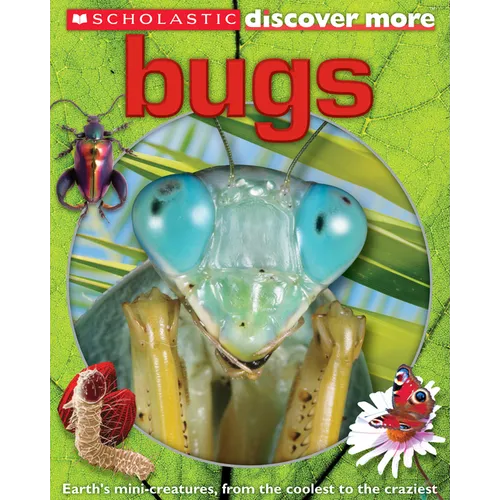 Bugs (Scholastic Discover More) - Hardcover