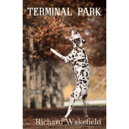 Terminal Park: Poems - Paperback