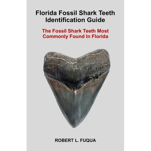 Florida Fossil Shark Teeth Identification Guide: The Fossil Shark Teeth Most Commonly Found In Florida - Paperback
