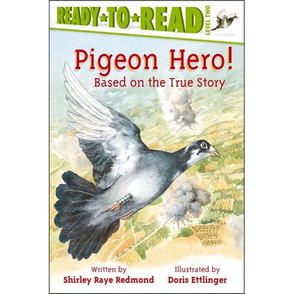 Pigeon Hero! - Paperback