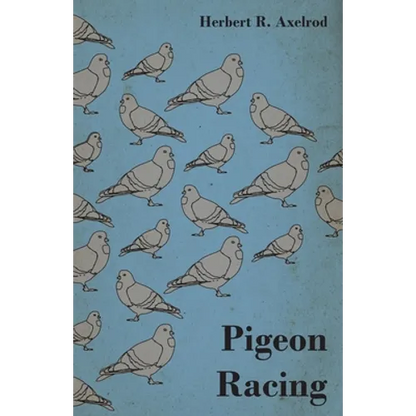 Pigeon Racing - Paperback