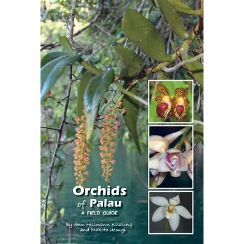 Orchids of Palau: A Field Guide - Paperback