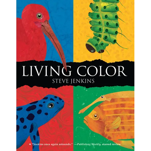 Living Color - Paperback