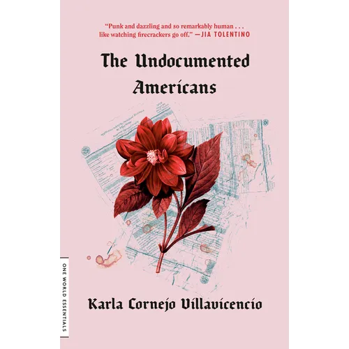 The Undocumented Americans - Paperback