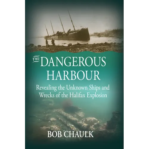 The Dangerous Harbour: Revealing the Unknown Ships and Wrecks of the Halifax Explosion - Paperback