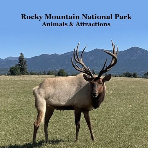 Rocky Mountain National Park Animals & Attractions Kids Book: Great Way for Kids to See the Animals and Attractions in Rocky Mountain National Park - Paperback