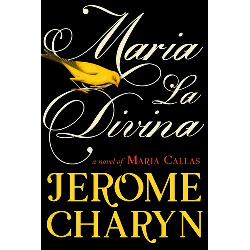 Maria La Divina - Paperback