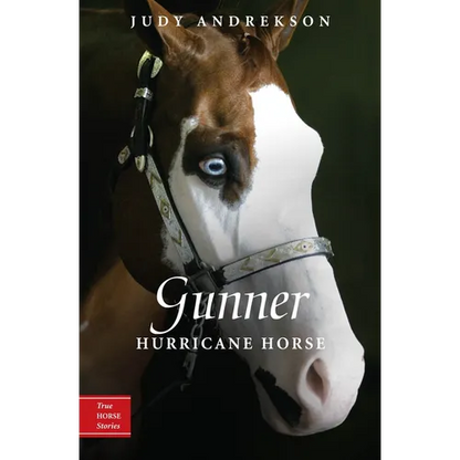 Gunner: Hurricane Horse - Paperback