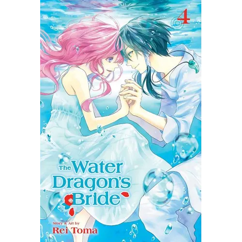 The Water Dragon's Bride, Vol. 4 - Paperback