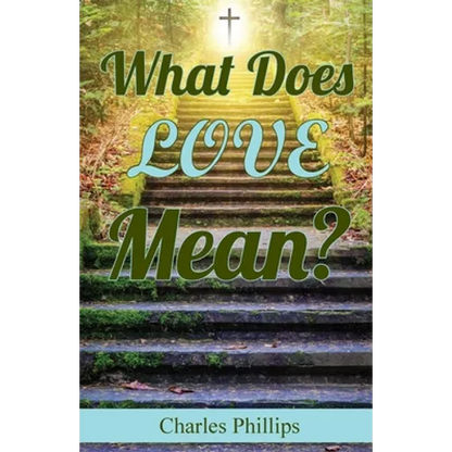 What Does Love Mean? - Paperback