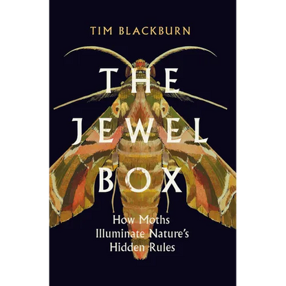 The Jewel Box: How Moths Illuminate Nature's Hidden Rules - Hardcover