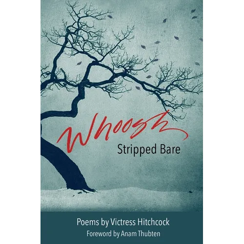 Whoosh Stripped Bare - Paperback