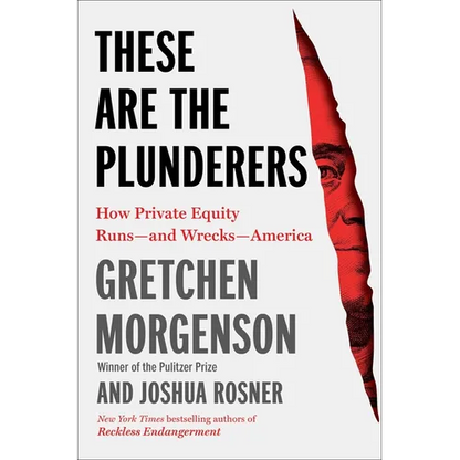 These Are the Plunderers: How Private Equity Runs--And Wrecks--America - Hardcover