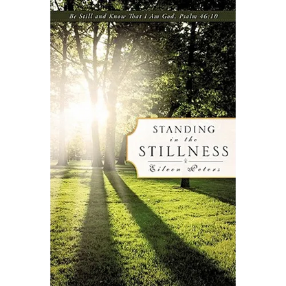 Standing In The Stillness - Paperback