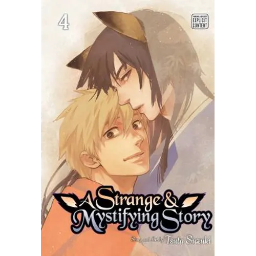 A Strange & Mystifying Story, Vol. 4 - Paperback