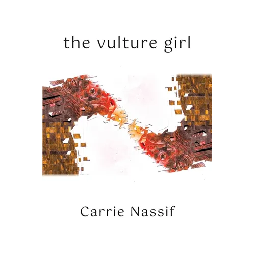 The Vulture Girl: Necessary and Sufficient Conditions - Paperback