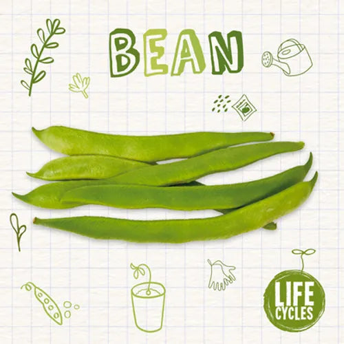 Bean - Paperback