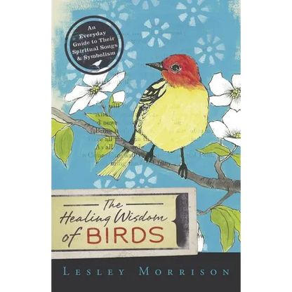 Healing Wisdom of Birds: An Everyday Guide to Their Spiritual Songs & Symbolism - Paperback