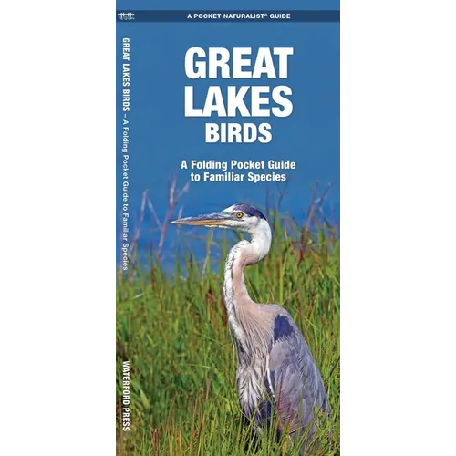 Great Lakes Birds: An Introduction to Familiar Species - Loose Leaf