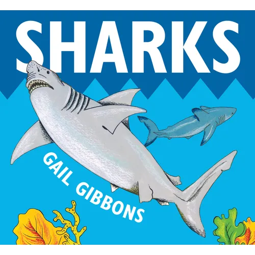 Sharks: An Engaging Introduction to Sharks Including Hammerheads, Great Whites, Whale Sharks, and More - Board Book